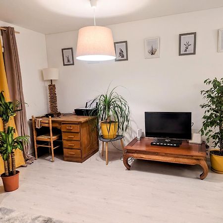 Appartement Cocooning Perpignan Exteriér fotografie